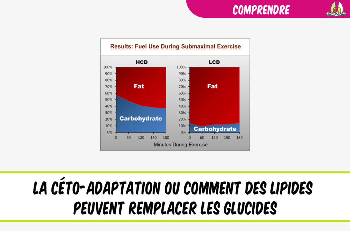 comprendre le régime cétogène la céto-adaptation lipides remplacent les glucides