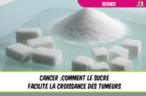 cancer : comment le sucre facilite la croissance des tumeurs