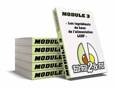 EatFat2BeFit-Module3 EatFat2BeFit-Module3