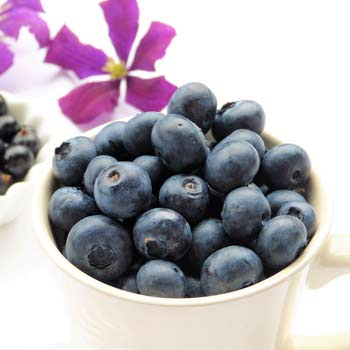 blueberries-2546157_1280-2-3 blueberries-2546157_1280-2-3