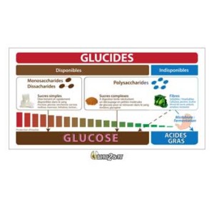 eatfat2befit-details-famille-glucides-3-2-5 eatfat2befit-details-famille-glucides-3-2-5