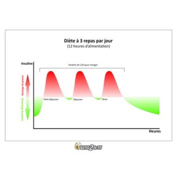 eatfat2befit-diete-3-repas-jour-insuline-2-9 eatfat2befit-diete-3-repas-jour-insuline-2-9