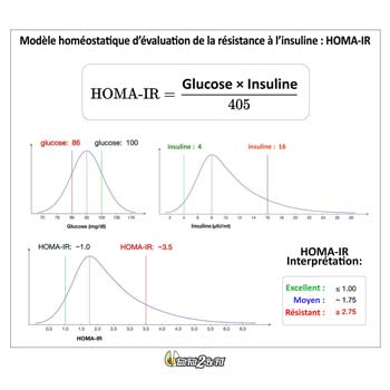 eatfat2befit-homa-ir-6-5-2 eatfat2befit-homa-ir-6-5-2