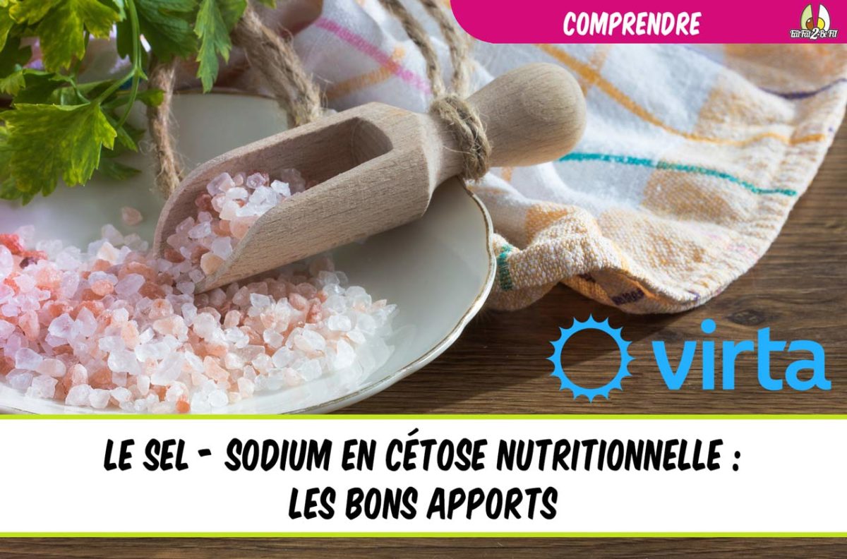 le sel le sodium en régime cétogène les bons apports