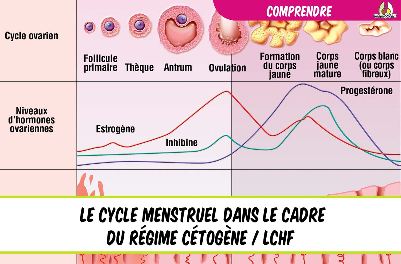 eatfat2befit le cycle menstruel en régime cétogène