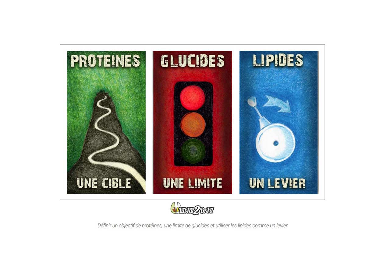 Lipides Glucides Protéines