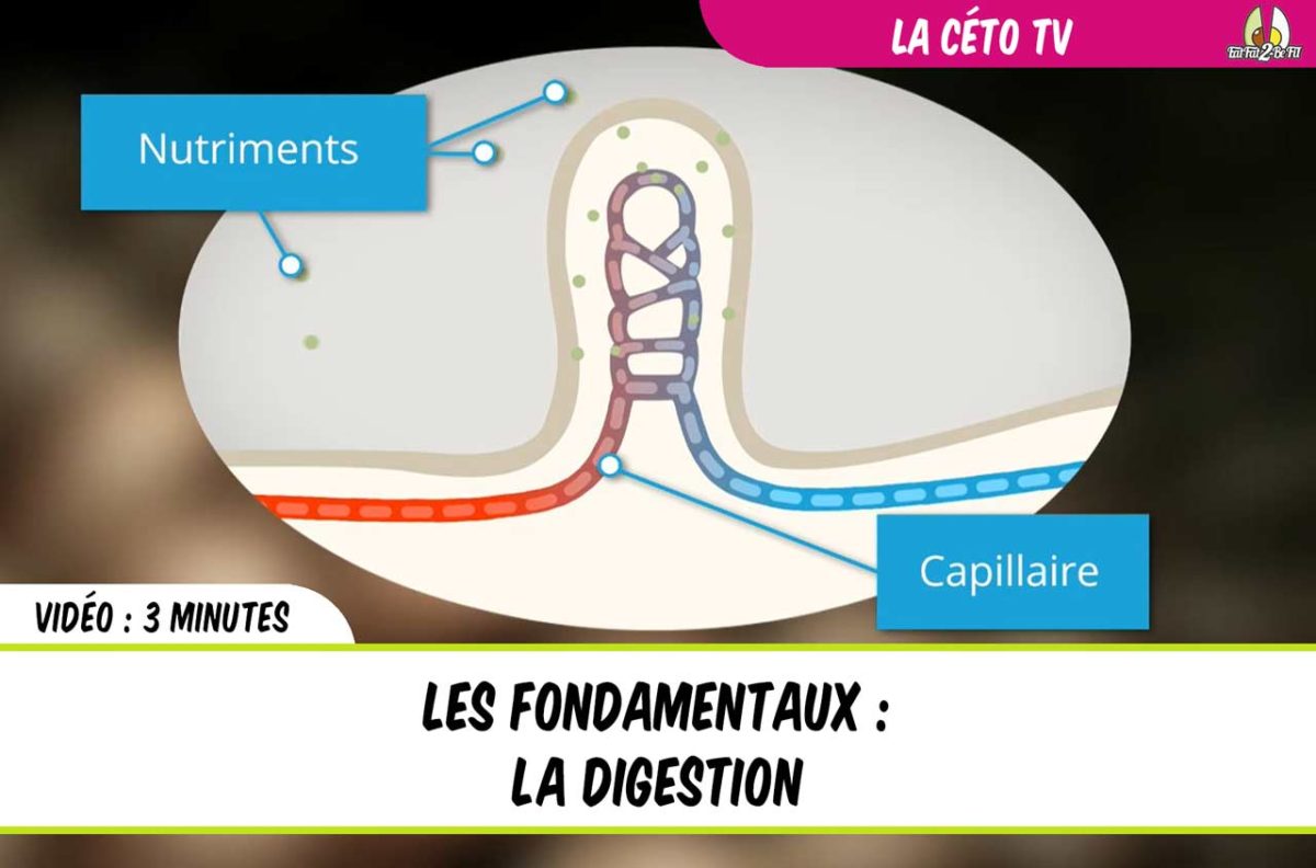 la digestion