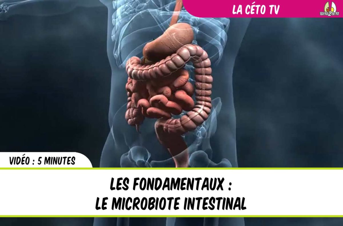 Le microbiote interstinal